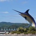 Kota Kinabalu, from Sea to Summit