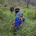 Gunung Palasari Menawan Hati