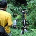 Menyibak Hutan Purba Gunung Sanggara