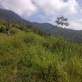 Hiking di Perbukitan Kiarapayung Mengasyikan