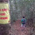 Keindahan Tersembunyi di Jalur Hiking Wates, Tangkuban Perahu