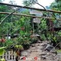 Kampung Senyum, Peradaban Di Tengah Belantara