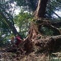 Keindahan Tersembunyi di Jalur Hiking Wates, Tangkuban Perahu