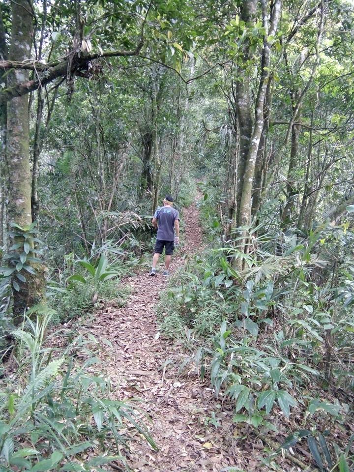 Jalur Menuju Gunung Lingkung dari Puncak Eurad