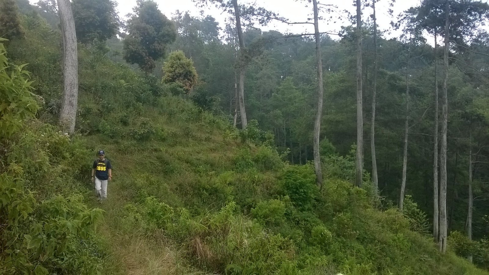 Melipir Bukit Dari Cilengkrang ke Batu Kuda