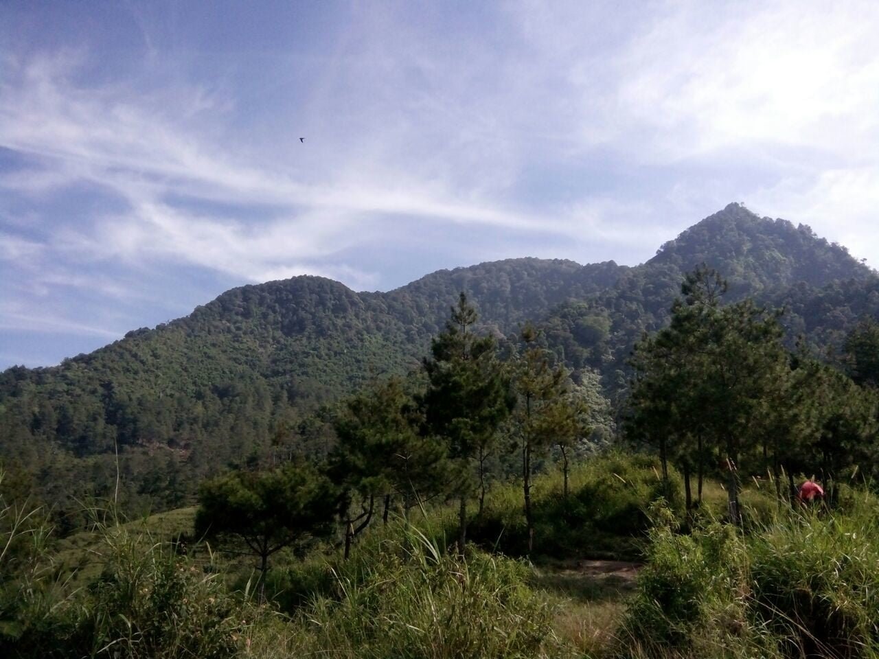 Berburu View Juara dari Puncak Papanggungan