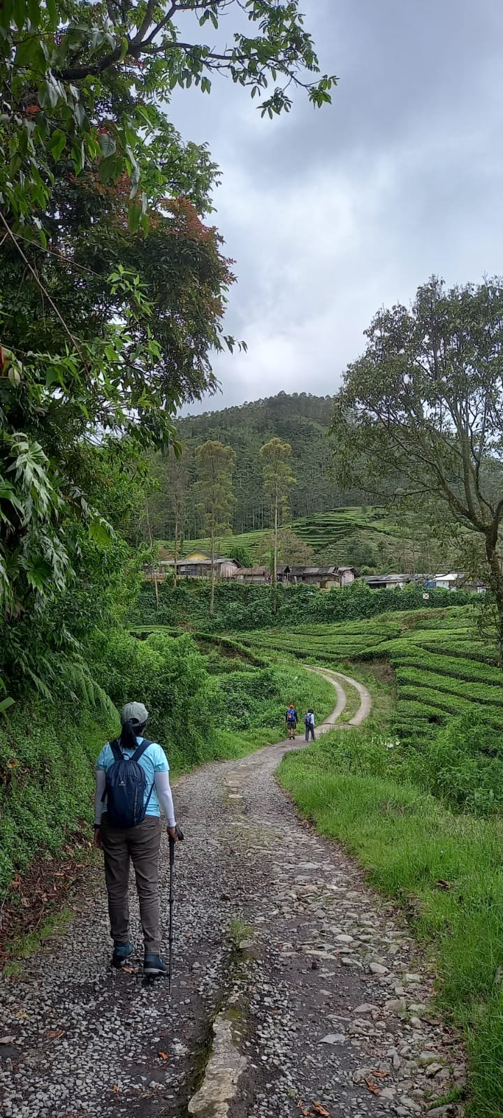 Mendaki Gunung Patuha via Cipanganten