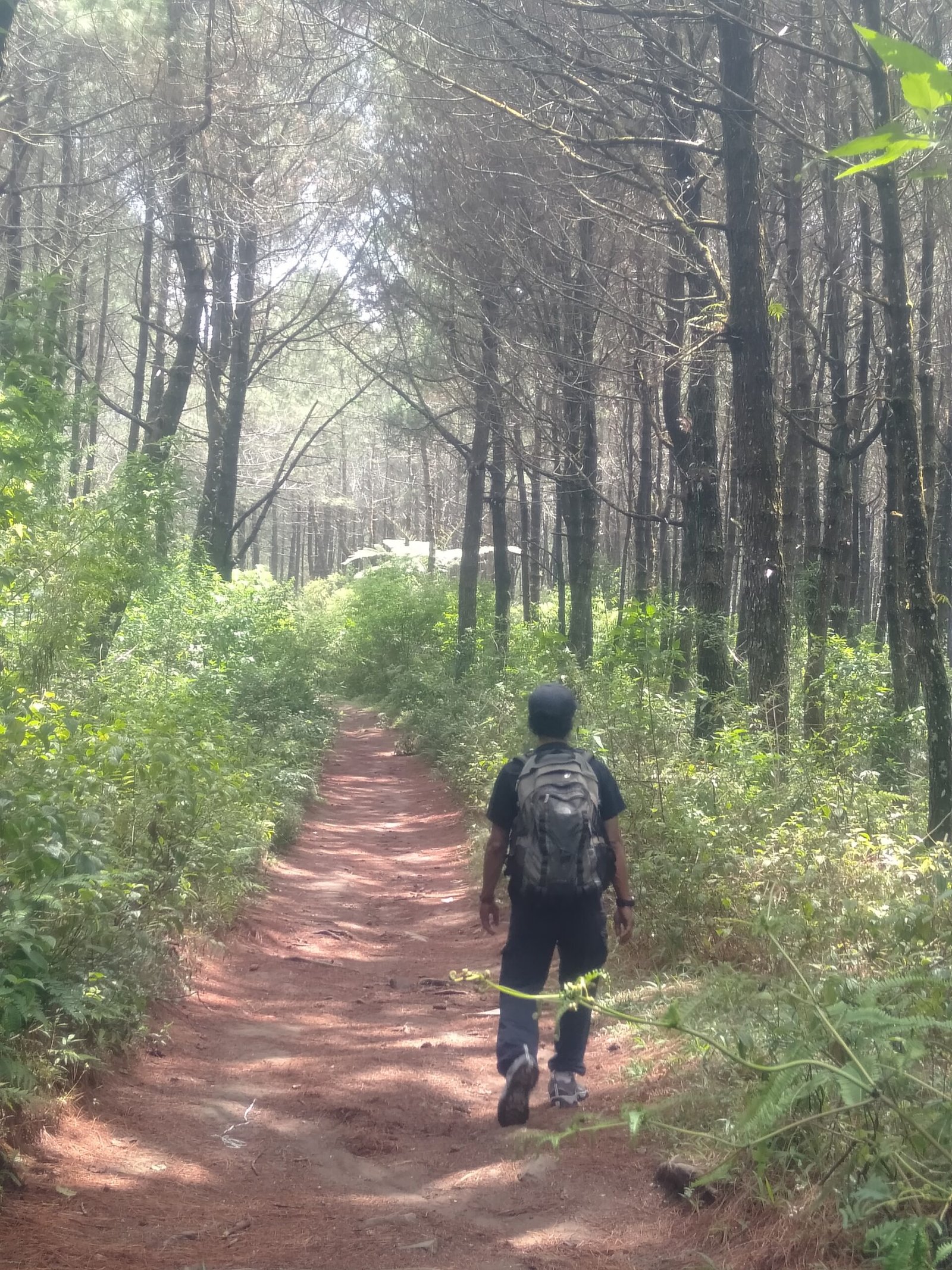 Ke Jayagiri Aku kan Kembali